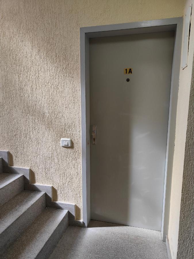 Residencial Gara Cerca Del Centro Appartement La Laguna  Buitenkant foto